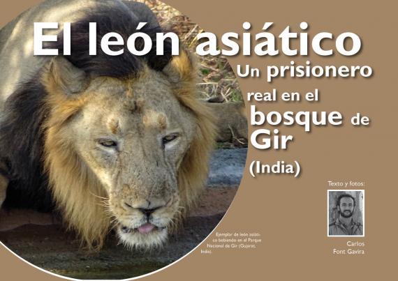 Portada del artículo