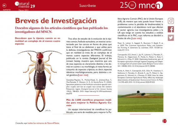 Imagen de la sección