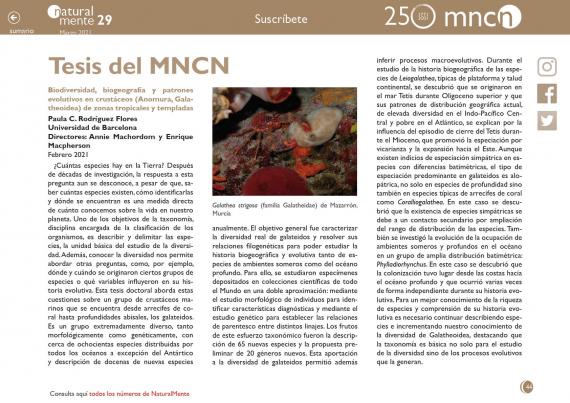 Imagen de la sección