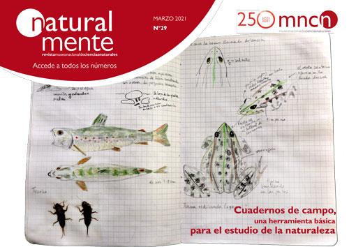 Portada de la revista