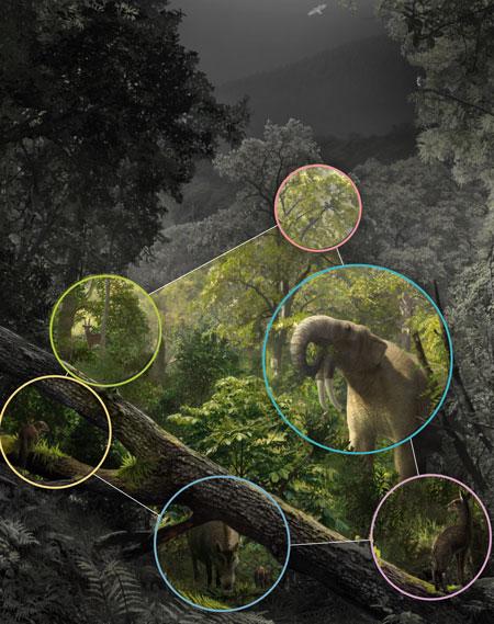 mammal communities 