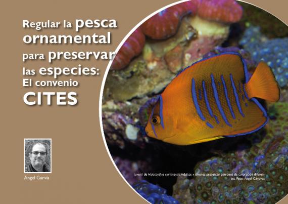 Convenio CITES y pesca ornamental