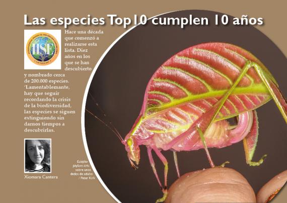 Las especies top 10 cumplen 10 anos