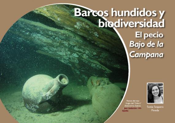Barcos hundidos y biodiversidad