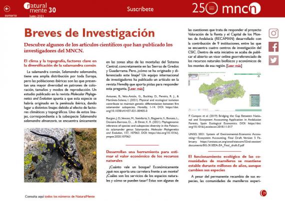 Breves investigación nm30