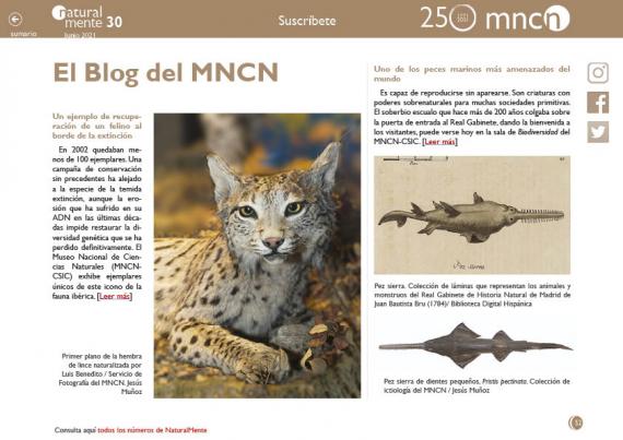 Blog del MNCN