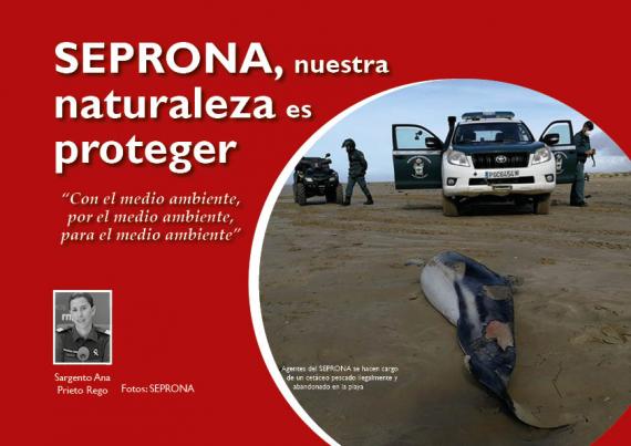 Portada del artículo