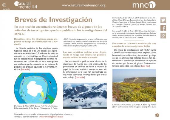Breves de investigación