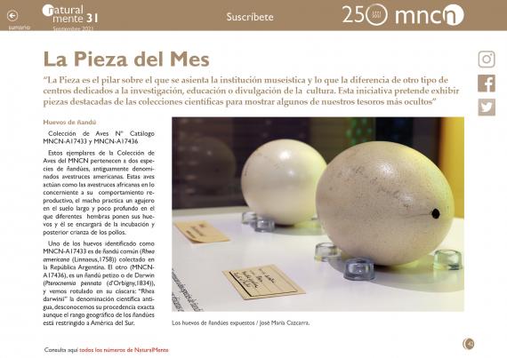 Pieza del mes nm31