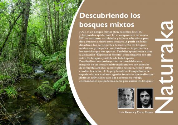 Naturaka. Descubriendo los  bosques mixtos