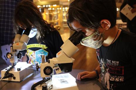 Participantes de un taller del MNCN