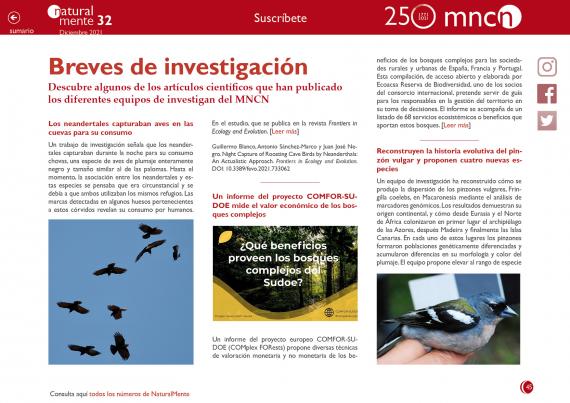 Breves de investigación 