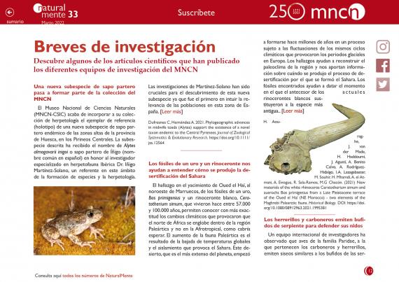 Breves nm33