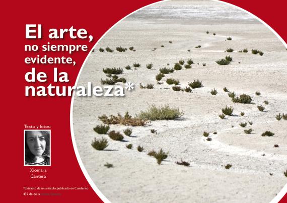 Lagunas salinas mancha