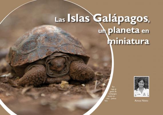 Las Islas Galápagos, un planeta en miniatura