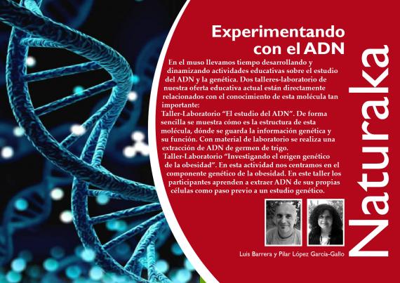 Experimentando  con el ADN