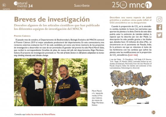 Breves investigación NM34