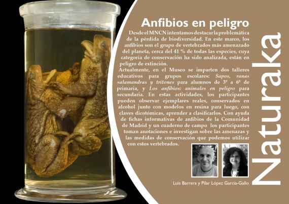 Naturaka. Anfibios en peligro