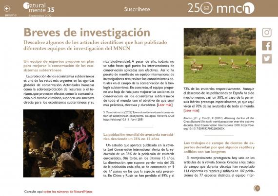 Breves nm35