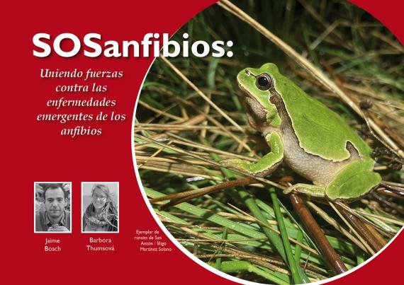 SOS anfibios
