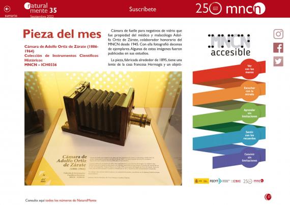 Pieza del mes nm35