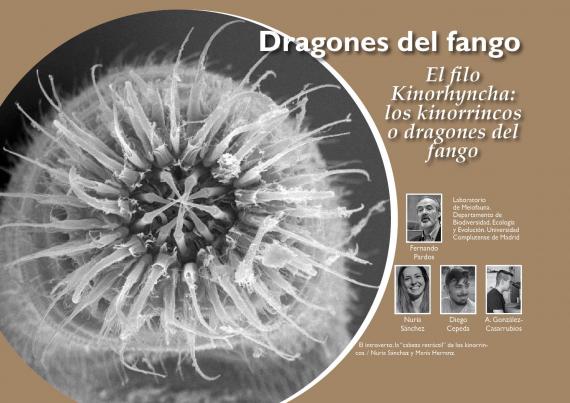 Dragones del fango