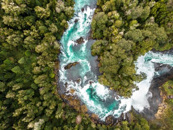 Un proyecto europeo utilizará la ciencia genómica para conservar la biodiversidad