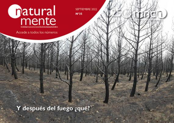 portada de la revista NatualMente 35