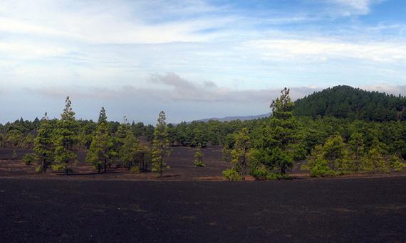 La isla canaria de La Palma es una de las regiones incluidas en el estudio. / Frank Klemm