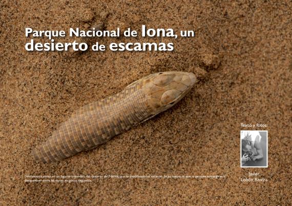 Portada del artículo