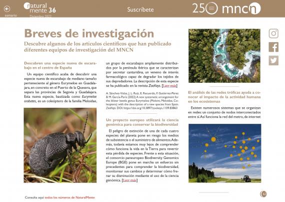 Portada del artículo