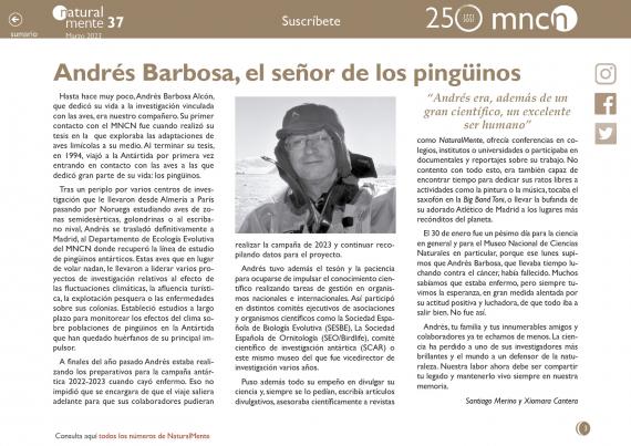 Imagen del artículo