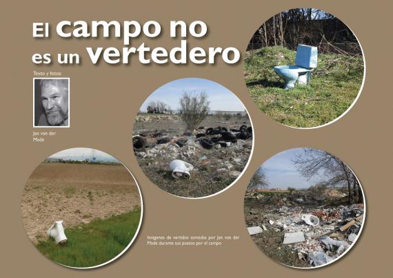 Imagen del artículo