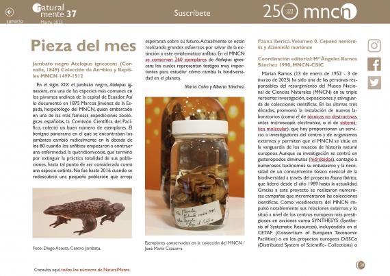 Imagen del artículo