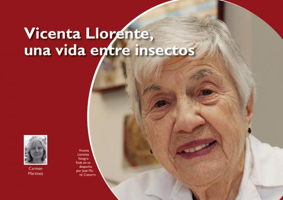 Imagen del artículo