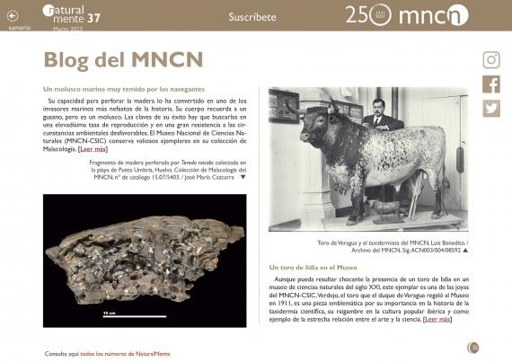 Imagen del artículo