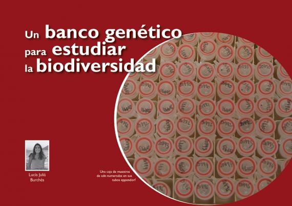 Imagen del artículo