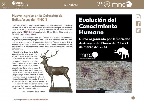 Imagen del artículo