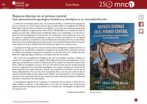 Imagen del artículo