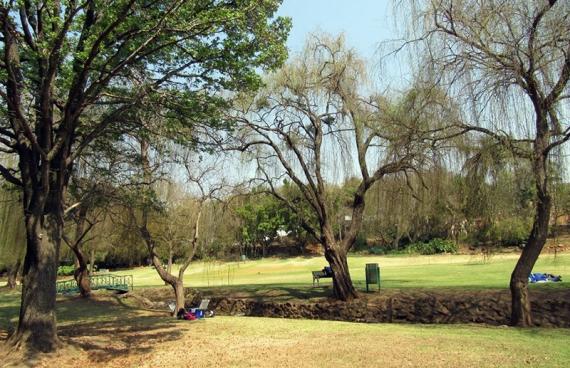 Un parque en Pretoria, Sudáfrica. / Thulani P. Makhalanyane