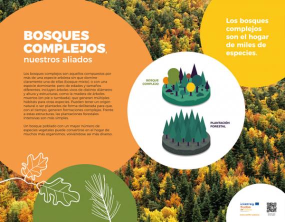 Uno de los paneles que forma parte de la exposición "Bosques complejos, nuestros alidados"