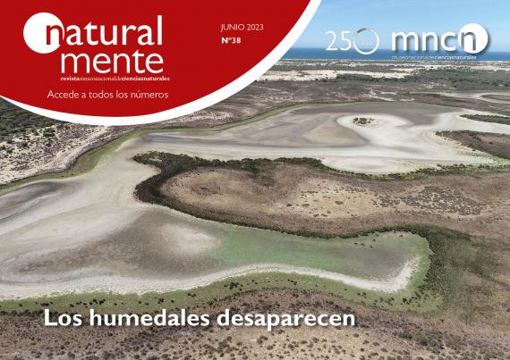 Portada del número 38 de la revista