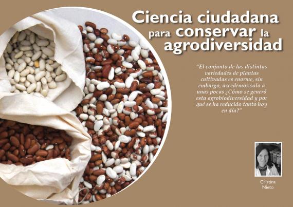 Portada del artículo