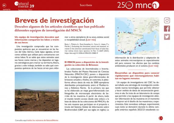 Breves nm39