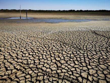 Laguna de Santa Olalla, en Doñana, sin agua