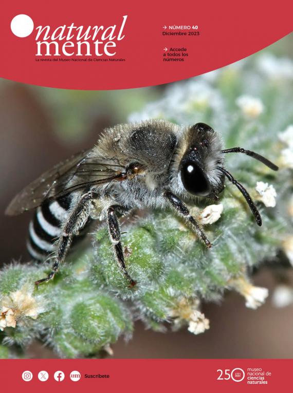 Portada del artículo