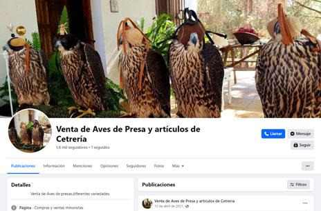 Captura de pantalla de una web de venta de aves por internet