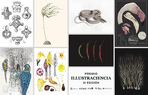 montaje de las obras ganadoras y con mención especial del premio de Illustraciencia 11