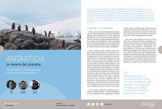 Pingüinos sobre una roca