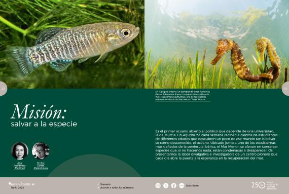 Imágenes de un fartet y dos caballitos de mar